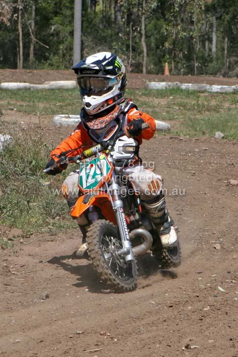 445x677 pixels (77K)